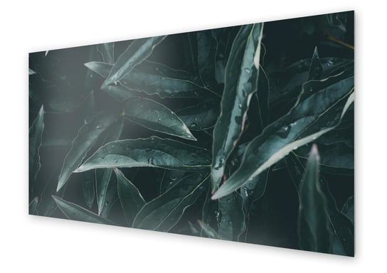 Panel kuchenny HOMEPRINT Krople wody na liściach 125x50 cm HOMEPRINT