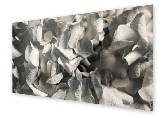 Panel kuchenny HOMEPRINT Kwiat hortensji 100x50 cm HOMEPRINT