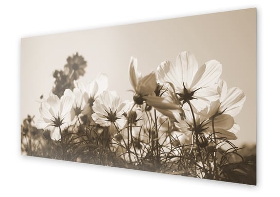 Panel kuchenny HOMEPRINT Kwiaty w sepii 125x50 cm HOMEPRINT