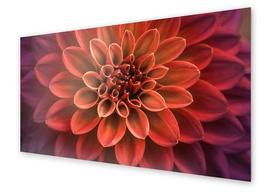 Panel kuchenny HOMEPRINT Makro kwiat dalii 100x50 cm HOMEPRINT