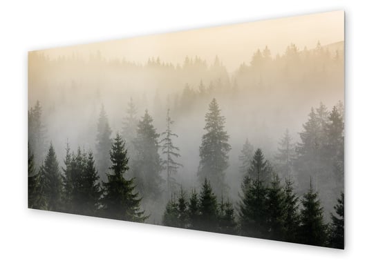 Panel kuchenny HOMEPRINT Mglisty las sosnowy 140x70 cm HOMEPRINT