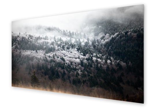 Panel kuchenny HOMEPRINT Mistyczny las we mgle 120x60 cm HOMEPRINT