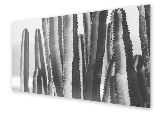 Panel kuchenny HOMEPRINT Monochromatyczne kaktusy 125x50 cm HOMEPRINT