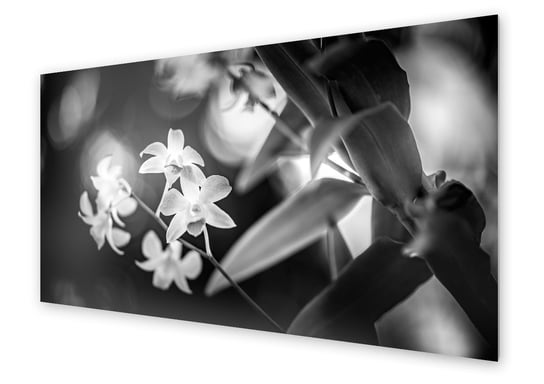 Panel kuchenny HOMEPRINT Monochromatyczne kwiaty 120x60 cm HOMEPRINT