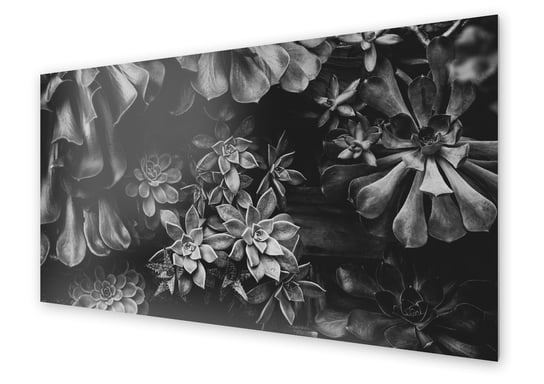 Panel kuchenny HOMEPRINT Ogród biało czarny 125x50 cm HOMEPRINT
