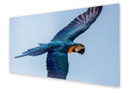 Panel kuchenny HOMEPRINT Papuga w locie 100x50 cm HOMEPRINT