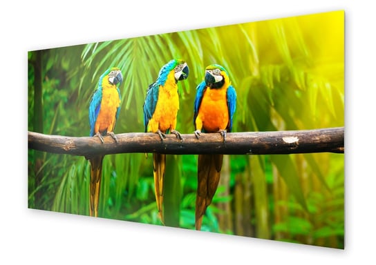 Panel kuchenny HOMEPRINT Papugi, Ara zwyczajna 100x50 cm HOMEPRINT