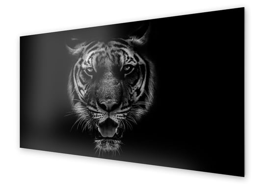 Panel kuchenny HOMEPRINT Portret tygrysa 100x50 cm HOMEPRINT