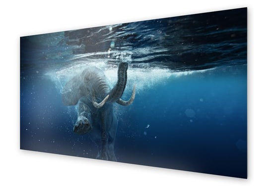 Panel kuchenny HOMEPRINT Słoń pływający 100x50 cm HOMEPRINT