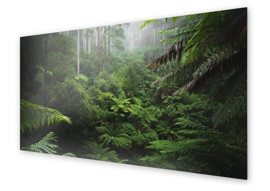 Panel kuchenny HOMEPRINT Tropikalny las deszczowy 120x60 cm HOMEPRINT
