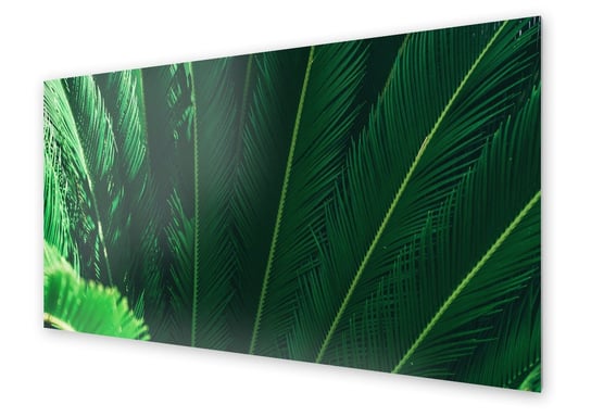 Panel kuchenny HOMEPRINT Tropikalny wachlarz 140x70 cm HOMEPRINT