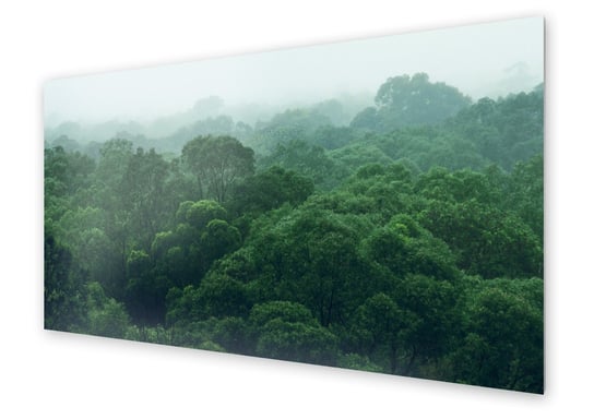 Panel kuchenny HOMEPRINT Widok z góry na dżunglę 100x50 cm HOMEPRINT
