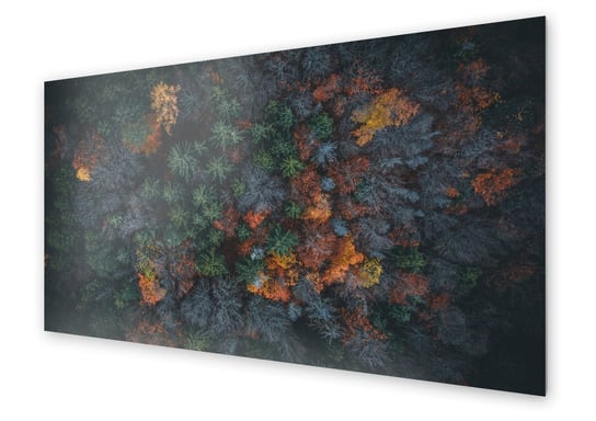 Panel kuchenny HOMEPRINT Widok z góry na las 140x70 cm HOMEPRINT