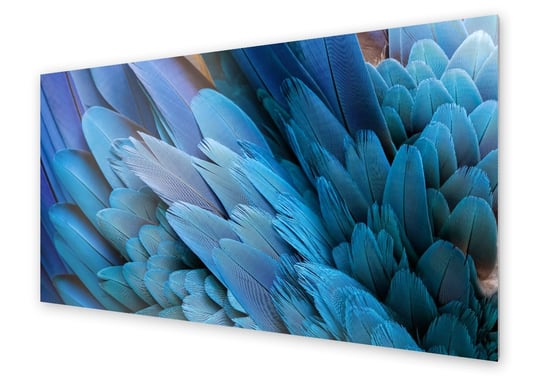 Panel kuchenny HOMEPRINT Zbliżenie na ptasie pióra 100x50 cm HOMEPRINT