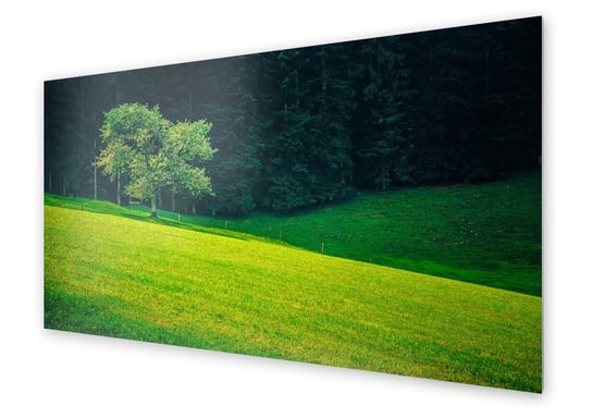 Panel kuchenny HOMEPRINT Zielona polana 120x60 cm HOMEPRINT