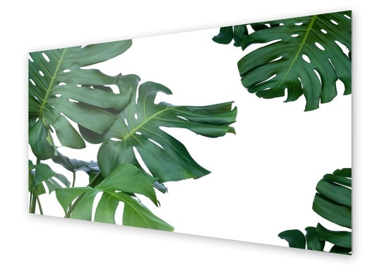 Panel kuchenny HOMEPRINT Zielone liście monstera 125x50 cm HOMEPRINT