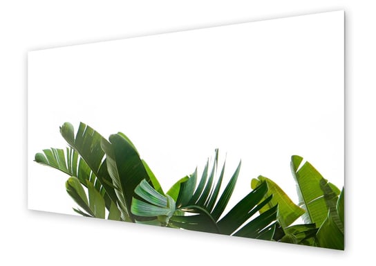 Panel kuchenny HOMEPRINT Zielone liście tropikalne 125x50 cm HOMEPRINT