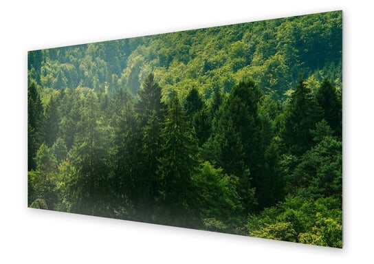 Panel kuchenny HOMEPRINT Zielony krajobraz leśny 100x50 cm HOMEPRINT