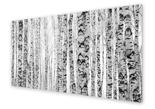 Panel kuchenny HOMEPRINT Zimowe pnie brzóz 120x60 cm HOMEPRINT
