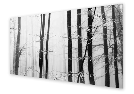 Panel kuchenny HOMEPRINT Zimowy poranek w lesie 100x50 cm HOMEPRINT