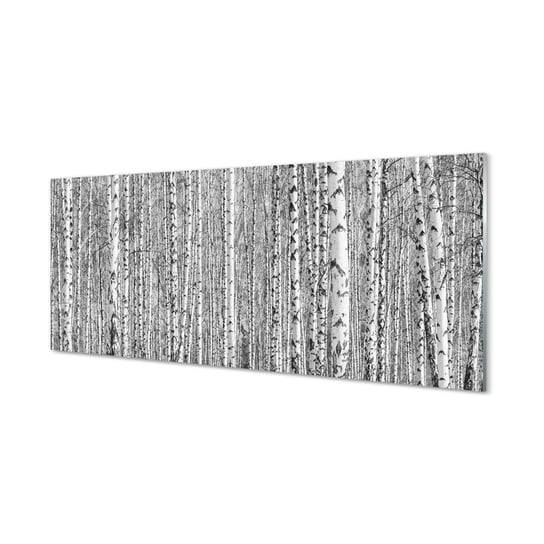 Panel szklany Czarno-białe drzewa las 125x50 cm Tulup