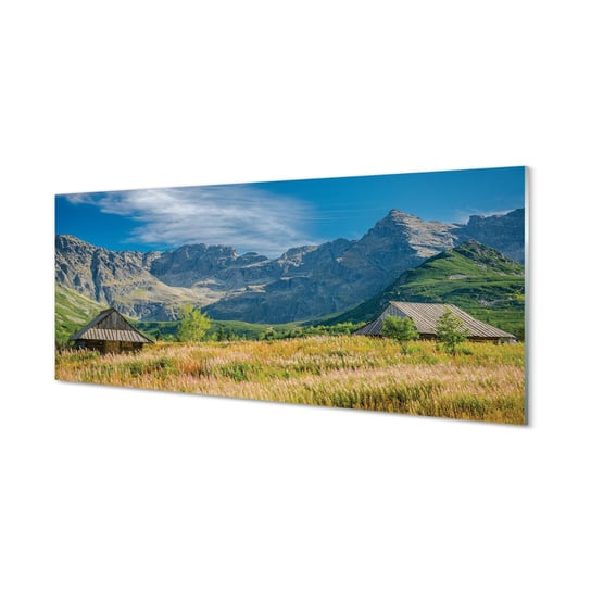 Panel szklany foto grafika Góry pola domki 125x50 cm Tulup