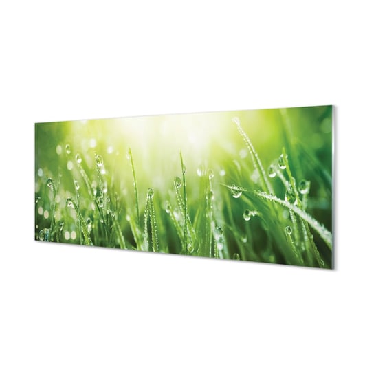 Panel szklany + klej Krople trawa słońce 125x50 cm Tulup