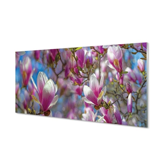 Panel szklany klej Magnolia drzewa 120x60 Tulup