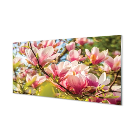 Panel szklany klej Różowa magnolia 120x60 Tulup