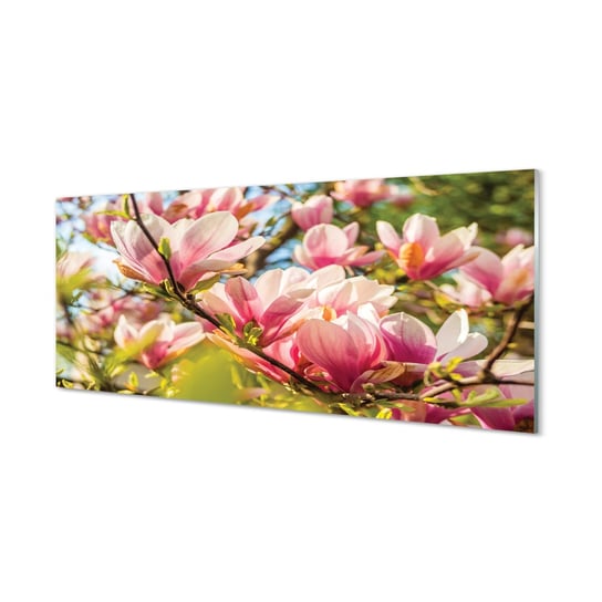 Panel szklany klej Różowa magnolia 125x50 cm Tulup