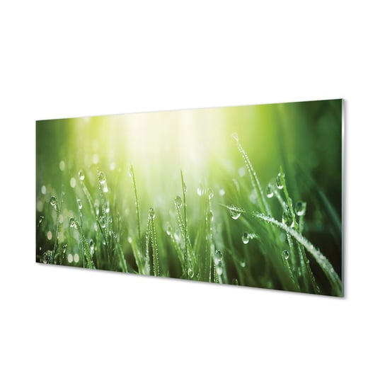 Panel szkło hartowane Krople trawa słońce 120x60 Tulup