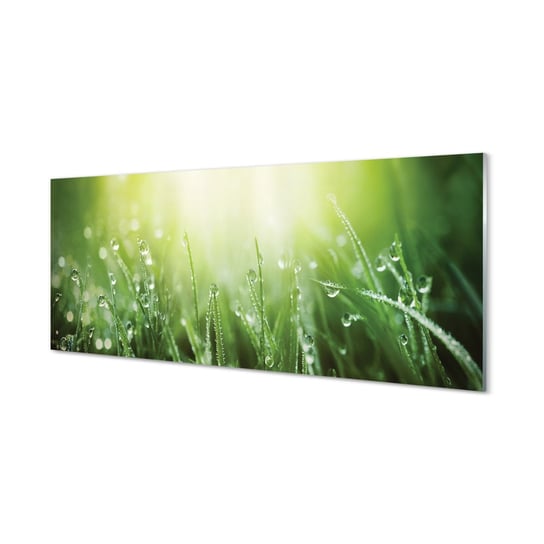 Panel szkło hartowane Krople trawa słońce 125x50 cm Tulup