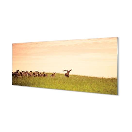 Panel szkło hartowane Stado jeleni pole 125x50 cm Tulup