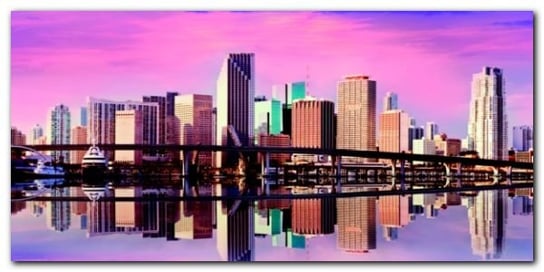 Panorama of Miami plakat obraz 100x50cm Wizard+Genius