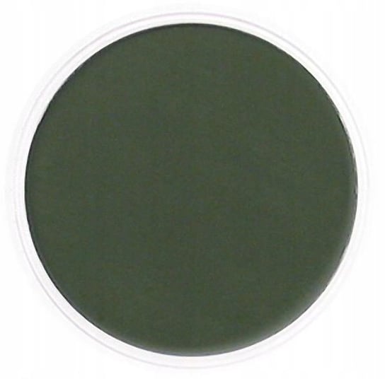 PanPastel Chromium Green Extra Dark 9ml PanPastel