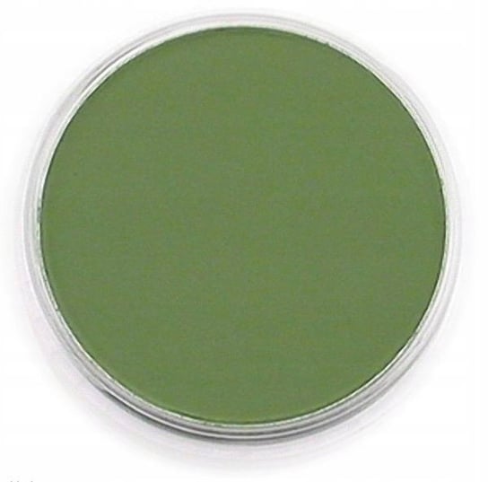 PanPastel Chromium Oxide Green Shade 9ml PanPastel