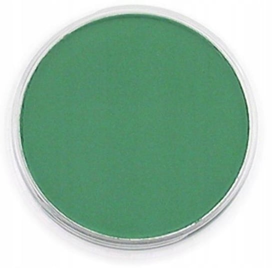 PanPastel Permanent Green Shade 9ml PanPastel