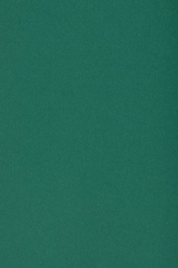 Papier brystol gładki kolorowy A3 c. zielony 250g 10 ark. - na prace plastyczne dla dzieci plastyków Burano