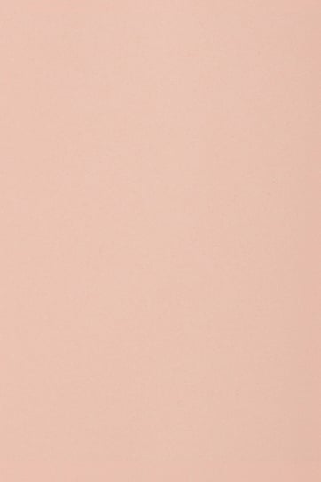 Papier brystol gładki kolorowy A3 j. różowy 250g 10 ark. - na prace plastyczne dla dzieci plastyków Burano