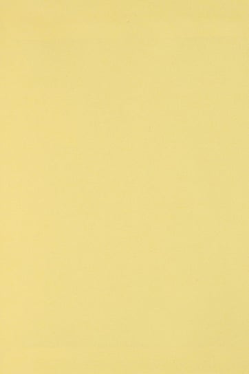 Papier brystol gładki kolorowy A3 j. żółty 250g 10 ark. - do projektów szkolnych na certyfikaty dyplomy Burano