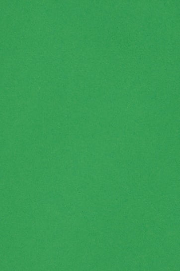 Papier brystol gładki kolorowy A3 zielony 250g 10 ark. - na prace plastyczne dla dzieci plastyków Burano