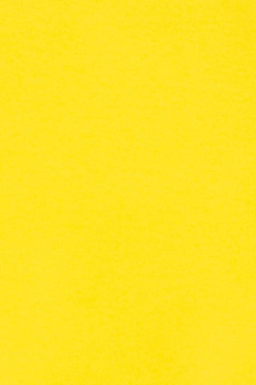 Papier brystol gładki kolorowy A3 żółty 250g 10 ark. - na technikę wystawę szkolną Burano
