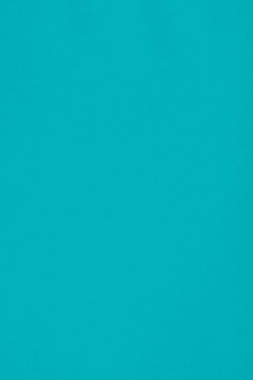 Papier brystol gładki kolorowy SRA3 niebieski 250g 10 ark. - na plan stołów plastykę do przedszkola szkoły Burano