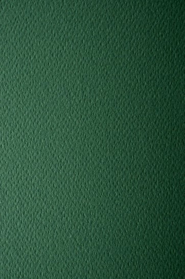 Papier brystol kolorowy dla plastyków A3 c. zielony 220g 10 ark. - na prace plastyczne plakaty do scrapbookingu Favini