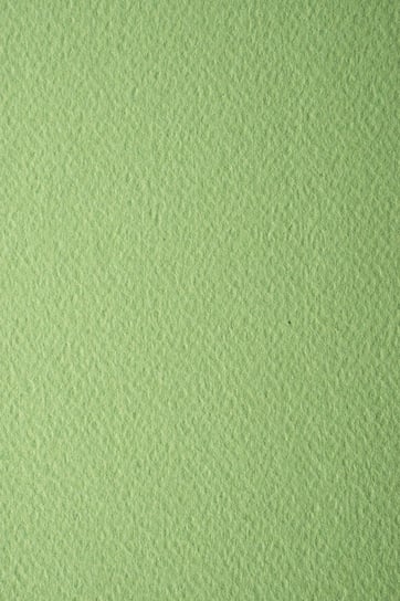 Papier brystol kolorowy dla plastyków A3 zielony 220g 10 ark. - do prac kreatywnych opakowania etykietki Favini