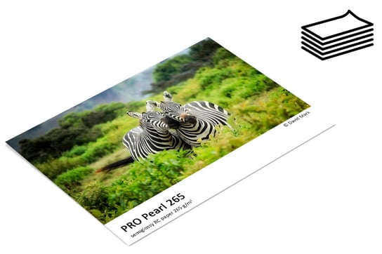 Papier fotograficzny Fomei Pro Pearl 265gsm - arkusze 15x23 (15,2 x 22,9cm) 250 arkuszy Fomei