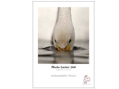 Papier fotograficzny HAHNEMUHLE Luster, 260 g/m2, A3, 25 szt. Hahnemuhle
