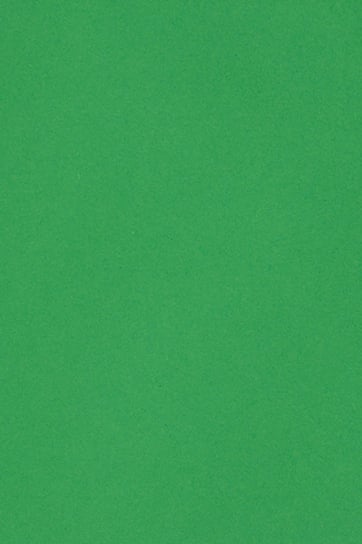 Papier kolorowy zielony Burano 250g 20 ark A4 Burano