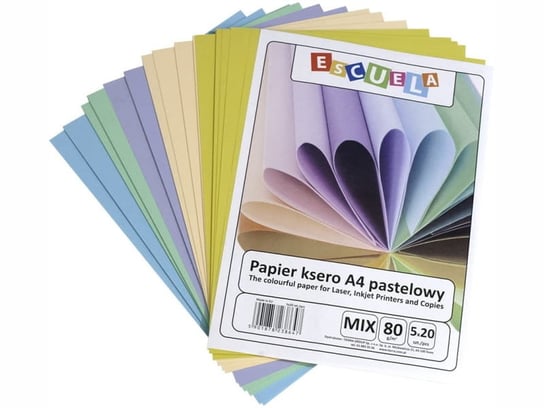 Papier ksero A4 Escuela pastelowy mix 100 kartek TIERRA