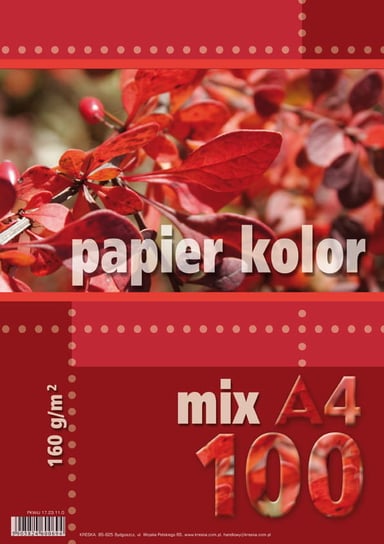 Papier Ksero Kolor A4/100 160G Mix Kreska Kreska